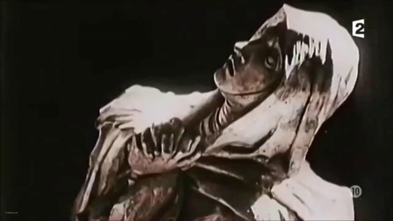Waffen Ss Marschiert In Feindesland Lyrics