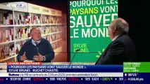 Le duel des critiques: Sylvie Brunel vs Jean de Kervasdoué - 26/02