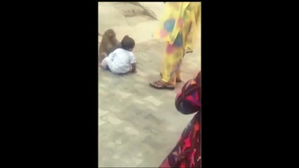 Monkey forces toddler to play with him after kidnapping him
