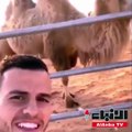 لاعب إيطالي يلتقط سيلفي مع البعارين في السعودية