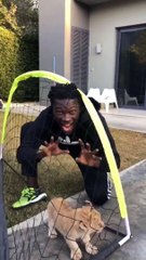 حيوان مفترس في منزل مهاجم الهلال السعوديغوميز