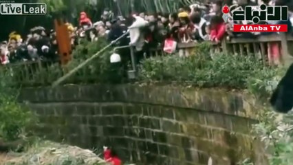 سقوط طفلة وسط الدببة ... وهكذا تم إنقاذها