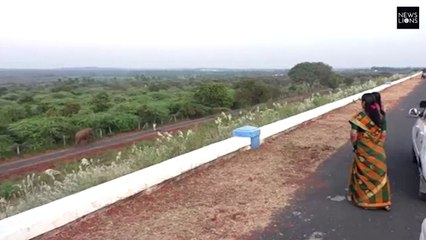 Heart-rending video shows teary-eyed mum elephant desperately looking for dead baby in South India