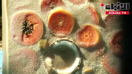 دب بني في ريو دي جانيرو يتناول المثلجات للتغلب على حرارة الصيف