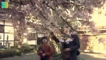 Sakura Shinjuu - さくら心中 - English Subtitles - E1