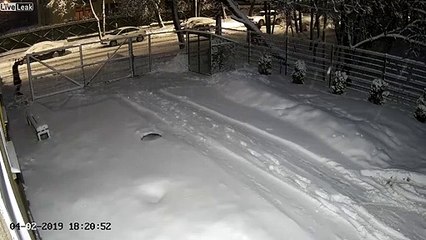 LiveLeak-dot-com-5-WWWDOWNVIDSNET_1549354901