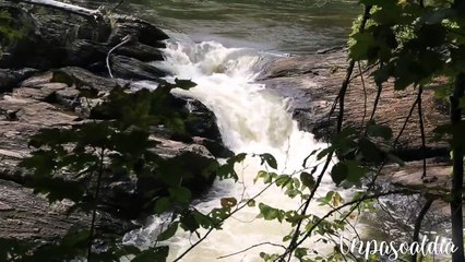 DANOS TU ESPÍRITU SEÑOR