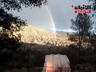 ظاهرة نادرة تذهل السياح في جزيرة تايلاندية
