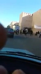 Une autruche dans les rues de Meknès