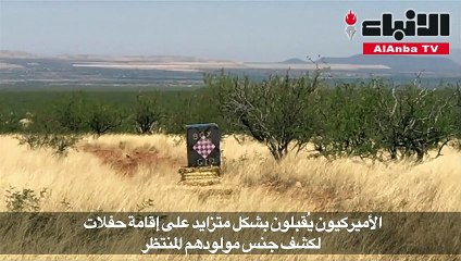 أميركي أراد كشف جنس مولوده المنتظر فحرق 20 ألف هكتار ودفع 8 ملايين دولار!