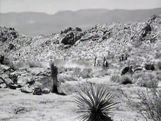 The Lone Ranger | S04 E01 | The Fugitive | Full Episode