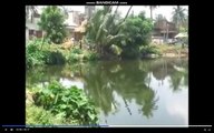 ШОК! Женщина 20 лет живет в озере в Индии