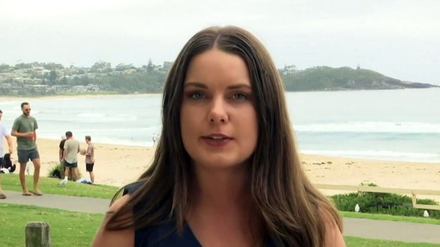 Human remains discovered on beach on the NSW South Coast