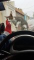 Man Scares Cat Instant Karma Ensues || ViralHog
