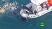 إنقاذ حوت أحدب في السواحل الأسترالية بعدما علق في شبكة لصيد أسماك القرش