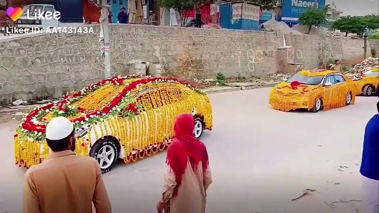 Beautiful videos