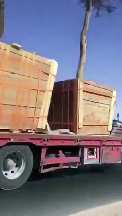 شاحنات لنقل الأشجار وزراعتها بأماكن سعودية