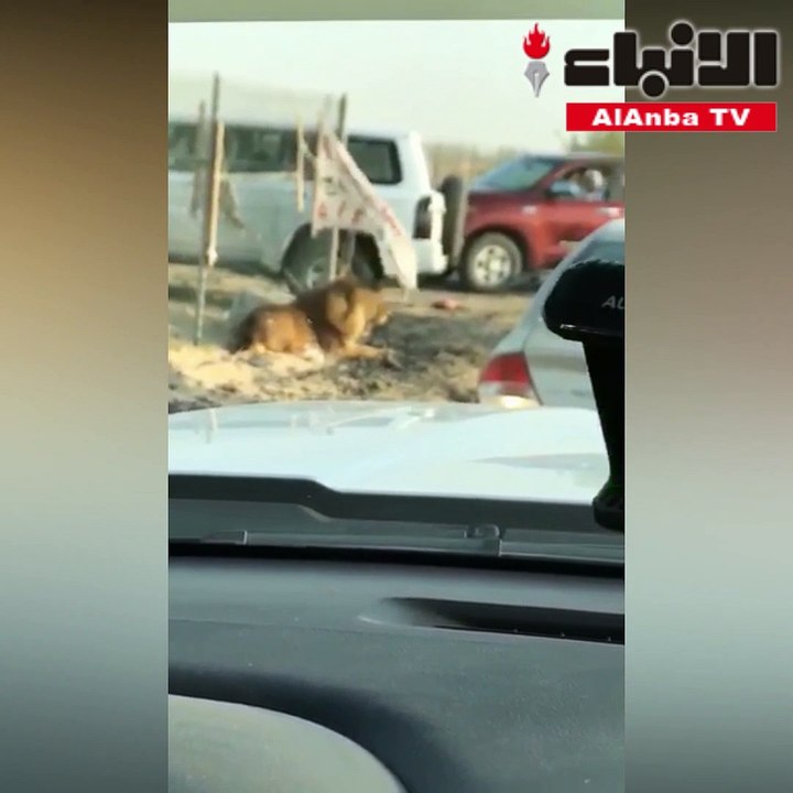 اسد