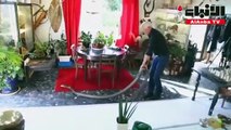 عالم فرنسي يربي 400 نوع من الزواحف في منزله