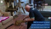 75-year-old man who naps with cats while volunteering goes viral