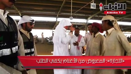 «التجارة»: المعروض من الأغنام يكفي الطلب