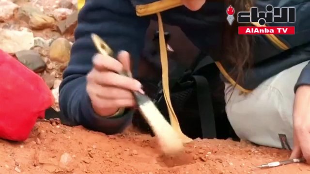 خبراء في الأرجنتين يعتقدون أنهم عثروا على حفرية ما قد يكون أكبر ديناصور على وجه الأرض