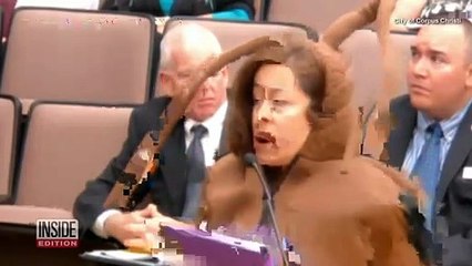 Woman Dresses Like Giant Cockroach in Bizarre Texas City Council Meeting