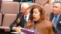 Woman Dresses Like Giant Cockroach in Bizarre Texas City Council Meeting
