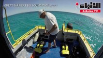 روبوت للقضاء على نجمات البحر المؤذية في الحاجز المرجاني العظيم