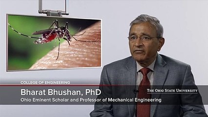 Ohio State Looking to Mosquitoes for a Way to Develop Painless Microneedles
