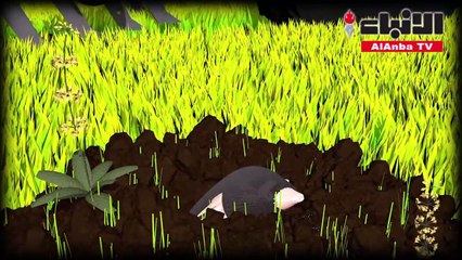 مبيدات الافات تعتبر مركبات كيميائية ذات خصائص سامة تستخدم لمكافحة الطفيليات