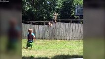 Adorable boy and neighbor dog play fetch over fence