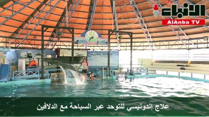 علاج إندونيسي للتوحد عبر السباحة مع الدلافين