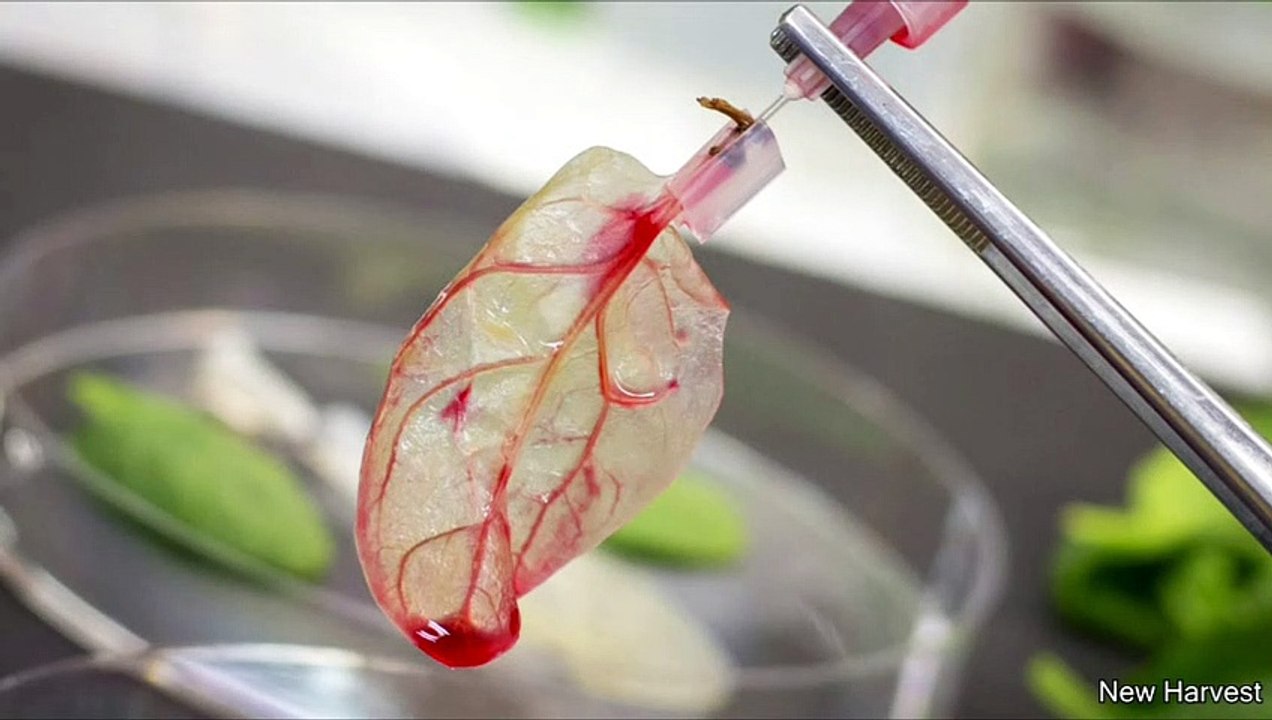 Changing leaf into meat.