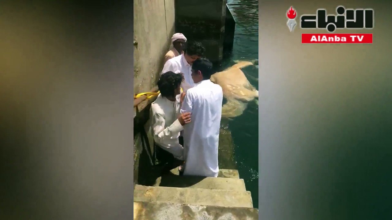 إنتشال بعير من ميناء الشويخ بعد سقوطه من إحدى الحاويات