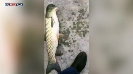 [1280x720] بالفيديو