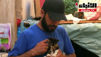 ليبي يحول منزله إلى ملجأ لقطط الشوارع الجريحة