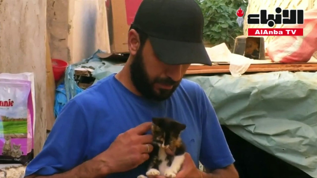 ليبي يحول منزله إلى ملجأ لقطط الشوارع الجريحة