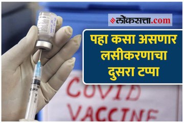पहा कसा असणार लसीकरणाचा दुसरा टप्पा