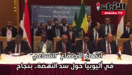 انتهاء الاجتماع "التساعي" حول سد النهضة.. بنجاح