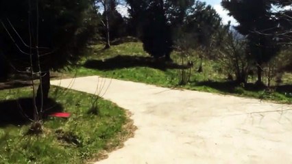 We thought this was a snake. But it turned out to be something even scarier