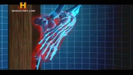 Grandes Enigmas Da História - A Crucificação 1/2