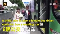 بالفيديو عروس تقود حافلة إلى حفل زفافها