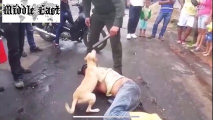 مليون مشاهدة لفيديو الكلب الوفي