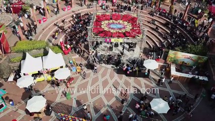Delhi's oldest mall Ansal Plaza celebrates a festival for Momos - see aerial view of Khel Gaon Marg