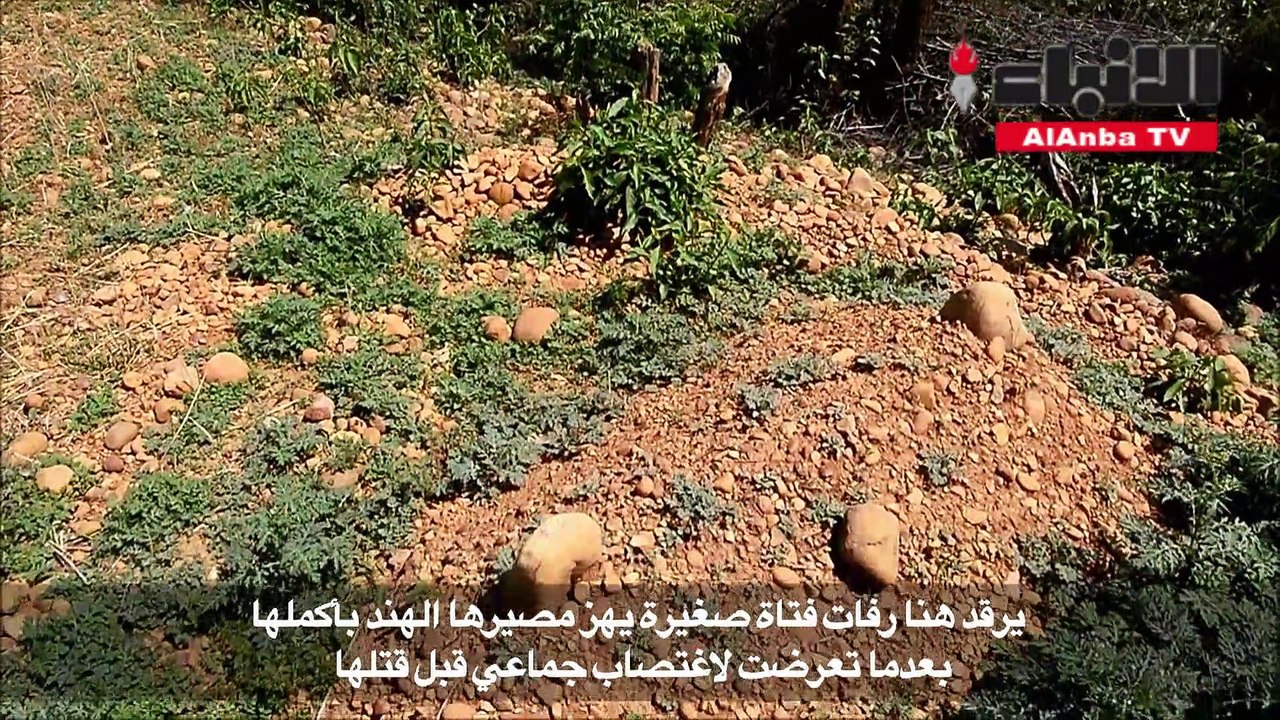 اغتصاب جماعي لطفلة يضع بلدة هندية في العاصفة