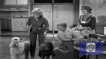 The Beverly Hillbillies - Season 1 - Episode 22 - Duke Steals a Wife | Buddy Ebsen, Donna Douglas