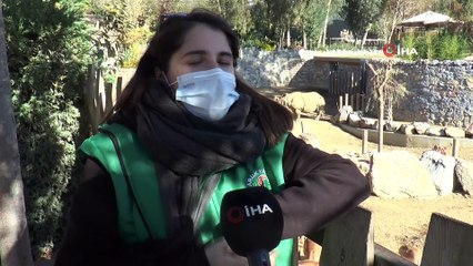 2.5 tonluk gergedan görünüşüyle tankı andırıyor