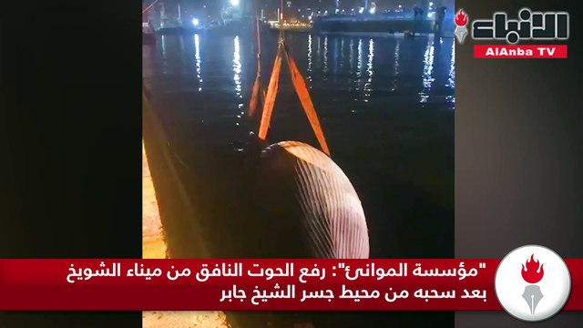 رفع الحوت النافق من ميناء الشويخ بعد سحبه من منطقة جسر جابر