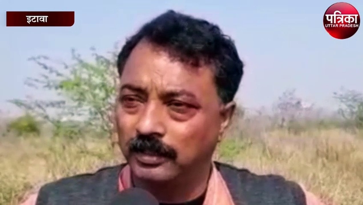 सारस पक्षी के गिनती में इटावा का दुबारा टॉप पर...